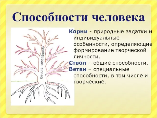 Способности человека Корни - природные задатки и индивидуальные особенности, определяющие формирование творческой