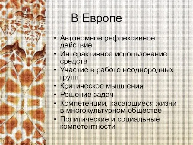 В Европе Автономное рефлексивное действие Интерактивное использование средств Участие в работе неоднородных