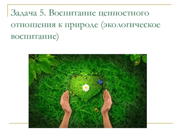 Задача 5. Воспитание ценностного отношения к природе (экологическое воспитание)‏