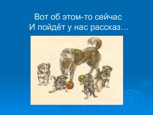 Вот об этом-то сейчас И пойдёт у нас рассказ…