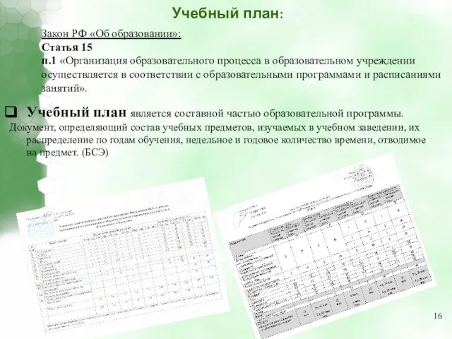 Учебный план: Закон РФ «Об образовании»: Статья 15 п.1 «Организация образовательного процесса