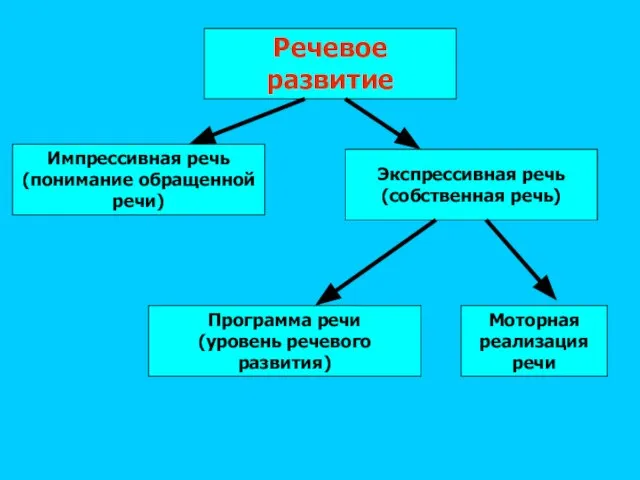 Речевое развитие Импрессивная речь (понимание обращенной речи) Экспрессивная речь (собственная речь) Программа