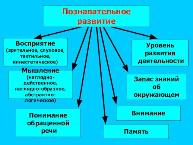 Восприятие (зрительное, слуховое, тактильное, кинестетическое) Запас знаний об окружающем Уровень развития деятельности