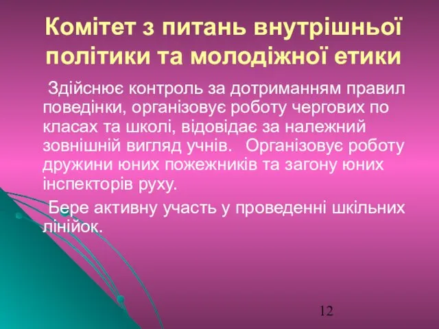 Комітет з питань внутрішньої політики та молодіжної етики Здійснює контроль за дотриманням