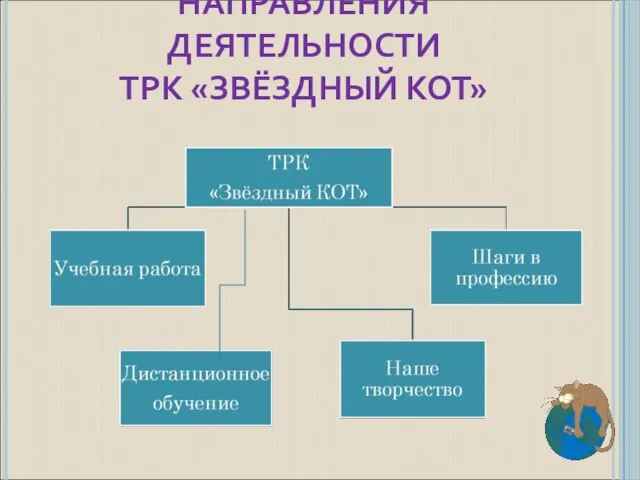 НАПРАВЛЕНИЯ ДЕЯТЕЛЬНОСТИ ТРК «ЗВЁЗДНЫЙ КОТ»