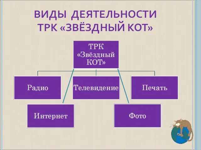 ВИДЫ ДЕЯТЕЛЬНОСТИ ТРК «ЗВЁЗДНЫЙ КОТ»