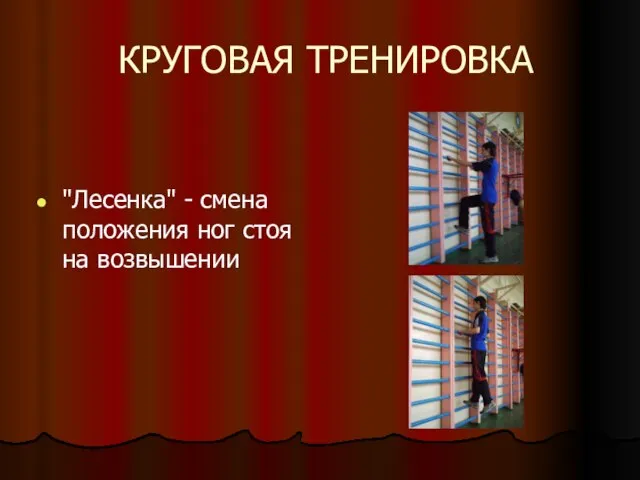 КРУГОВАЯ ТРЕНИРОВКА "Лесенка" - смена положения ног стоя на возвышении