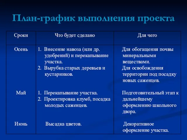 План-график выполнения проекта