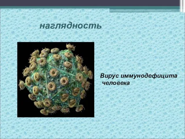 наглядность Вирус иммунодефицита человека