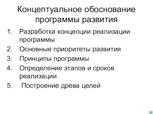 Концептуальное обоснование программы развития Разработка концепции реализации программы Основные приоритеты развития Принципы