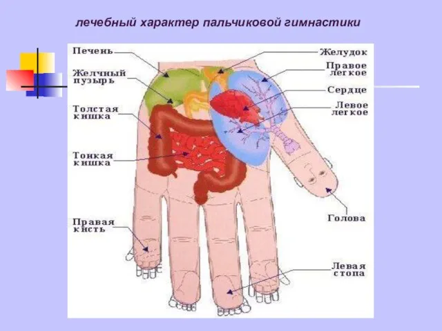 лечебный характер пальчиковой гимнастики