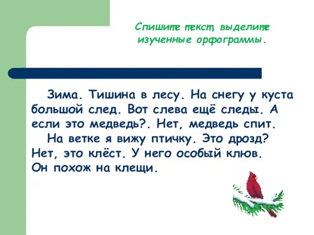 Зима. Тишина в лесу. На снегу у куста большой след. Вот слева