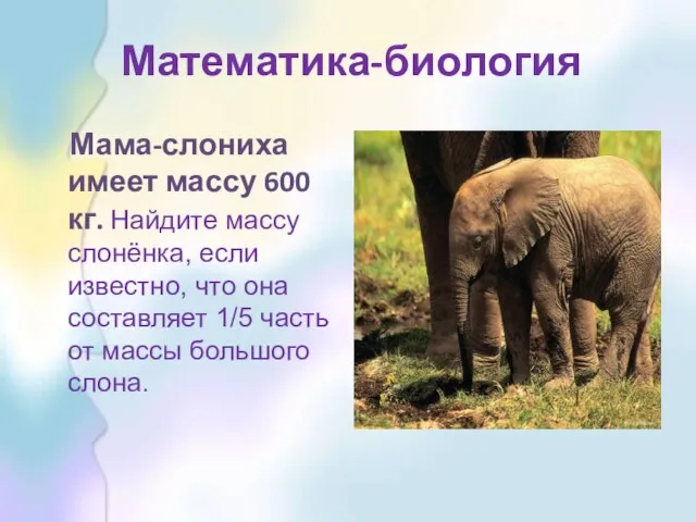Математика-биология Мама-слониха имеет массу 600 кг. Найдите массу слонёнка, если известно, что