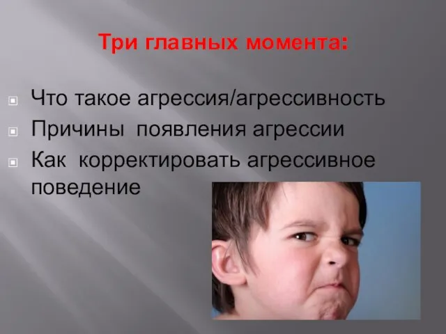 Три главных момента: Что такое агрессия/агрессивность Причины появления агрессии Как корректировать агрессивное поведение