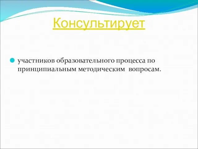 Консультирует участников образовательного процесса по принципиальным методическим вопросам.