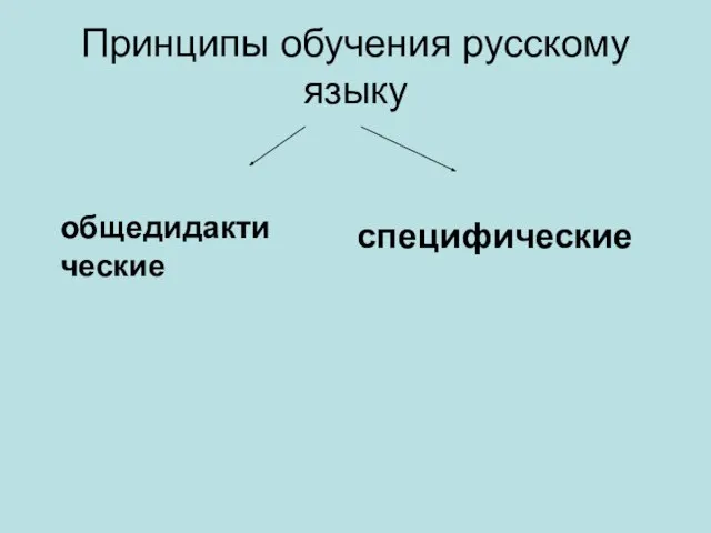 Принципы обучения русскому языку общедидактические специфические