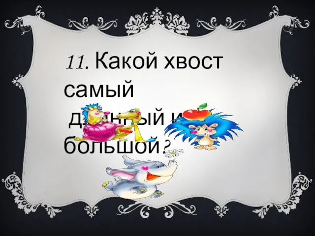 11. Какой хвост самый длинный и большой?