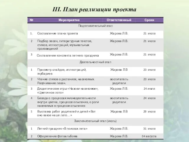 III. План реализации проекта