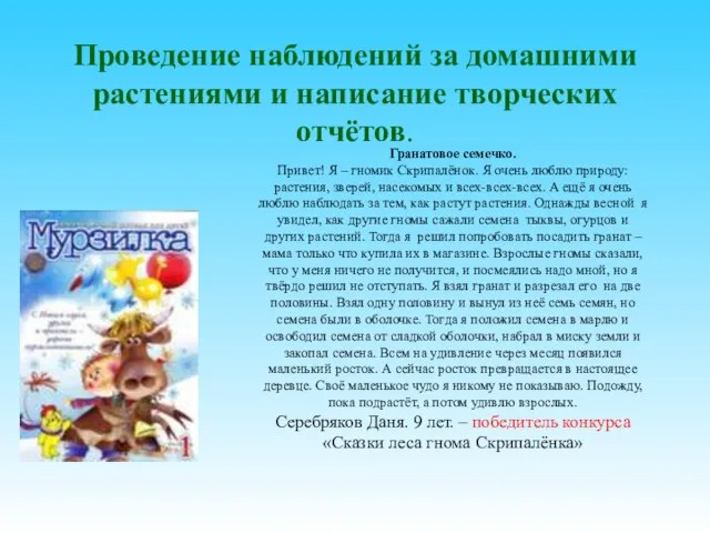 Проведение наблюдений за домашними растениями и написание творческих отчётов. Гранатовое семечко. Привет!