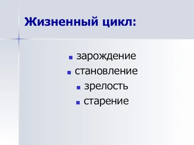 Жизненный цикл: зарождение становление зрелость старение