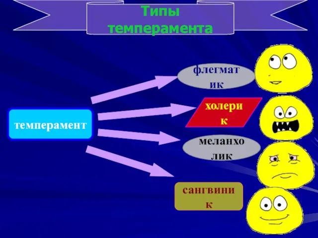 темперамент Типы темперамента сангвиник меланхолик холерик флегматик