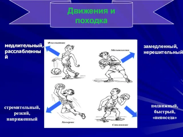 Движения и походка стремительный, резкий, напряженный замедленный, нерешительный подвижный, быстрый, «непоседа» медлительный, расслабленный