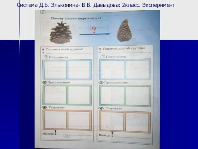 Система Д.Б. Эльконина- В.В. Давыдова: 2класс. Эксперимент