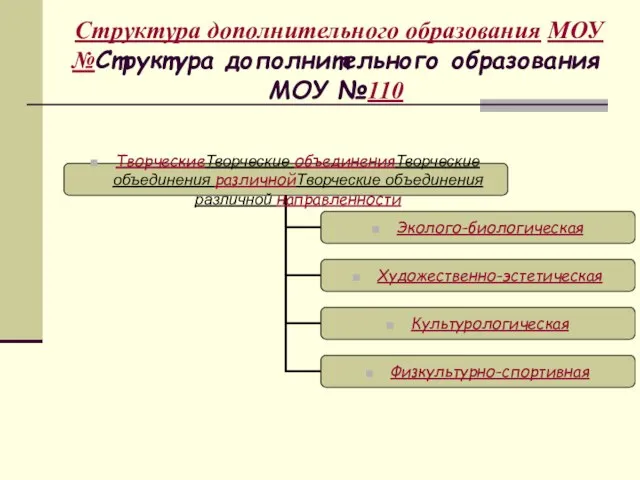 Структура дополнительного образования МОУ №Структура дополнительного образования МОУ №110