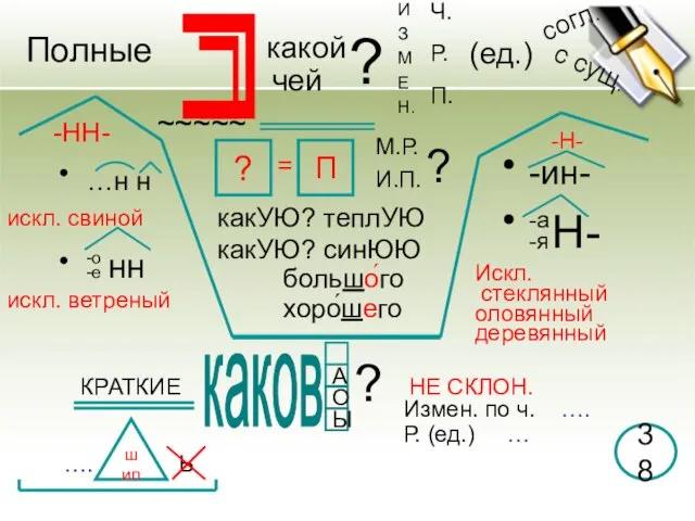 П ? М.Р. И.П. -НН- П П какой чей ? И З