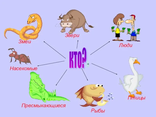 кто? Змеи Звери Люди Птицы Рыбы Пресмыкающиеся Насекомые