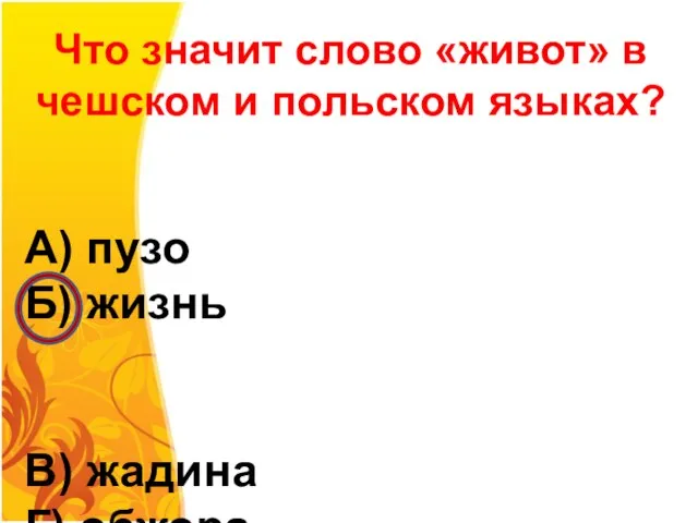 Что значит слово «живот» в чешском и польском языках? А) пузо Б)