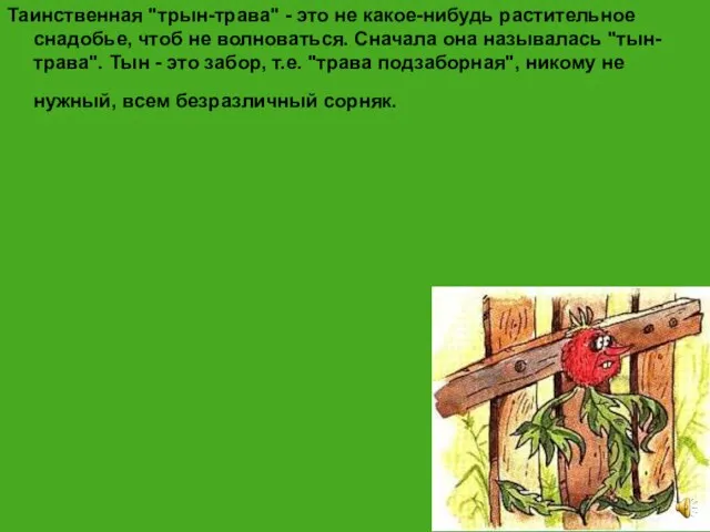 Таинственная "трын-трава" - это не какое-нибудь растительное снадобье, чтоб не волноваться. Сначала