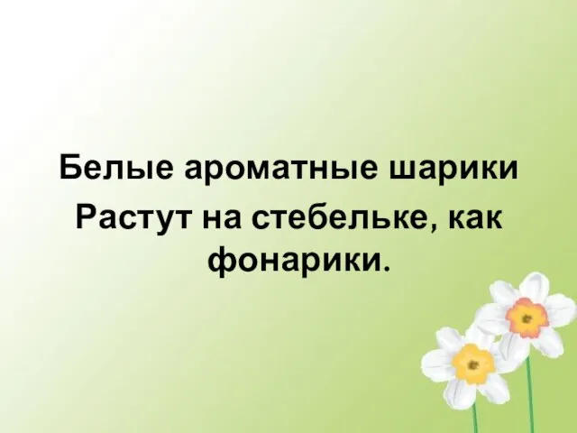 Белые ароматные шарики Растут на стебельке, как фонарики.