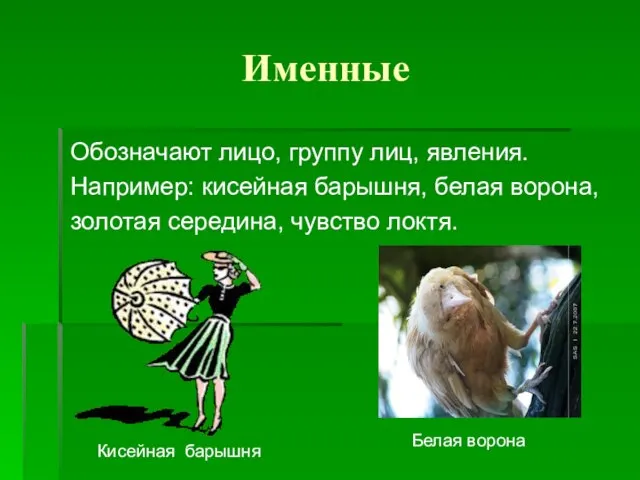 Именные Обозначают лицо, группу лиц, явления. Например: кисейная барышня, белая ворона, золотая