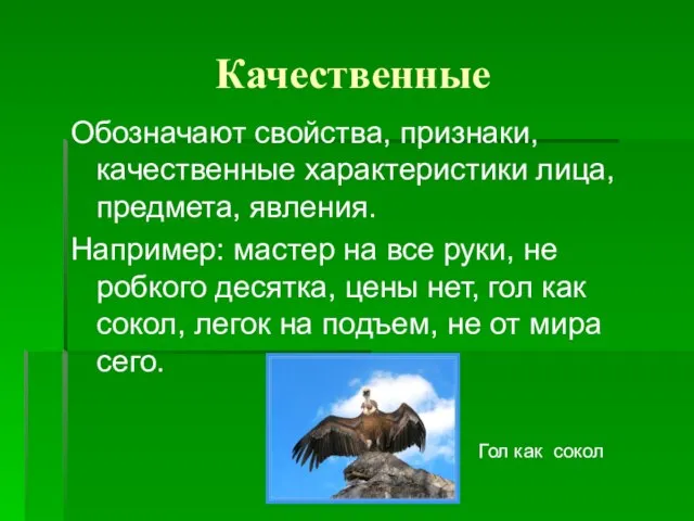 Качественные Обозначают свойства, признаки, качественные характеристики лица, предмета, явления. Например: мастер на