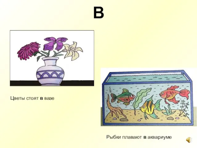 В Цветы стоят в вазе Рыбки плавают в аквариуме