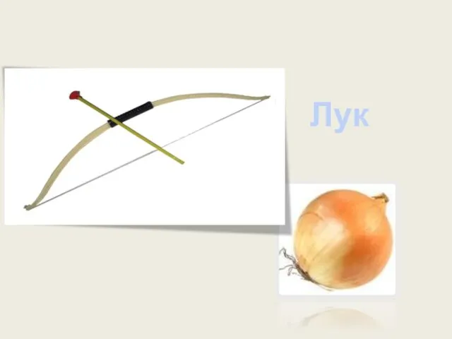 Лук