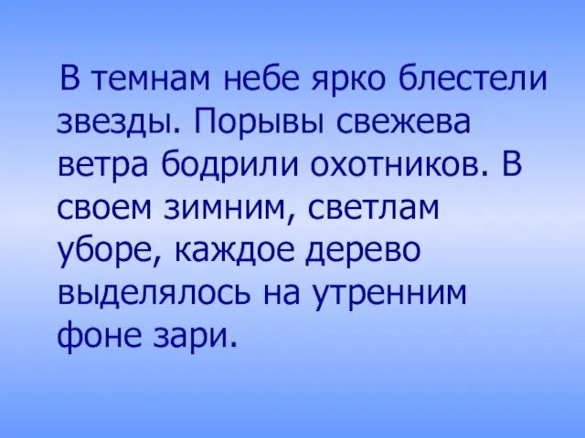 В темнам небе ярко блестели звезды. Порывы свежева ветра бодрили охотников. В