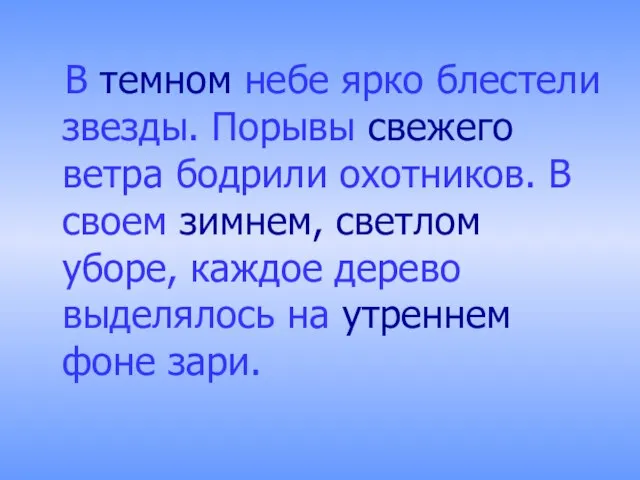 В темном небе ярко блестели звезды. Порывы свежего ветра бодрили охотников. В