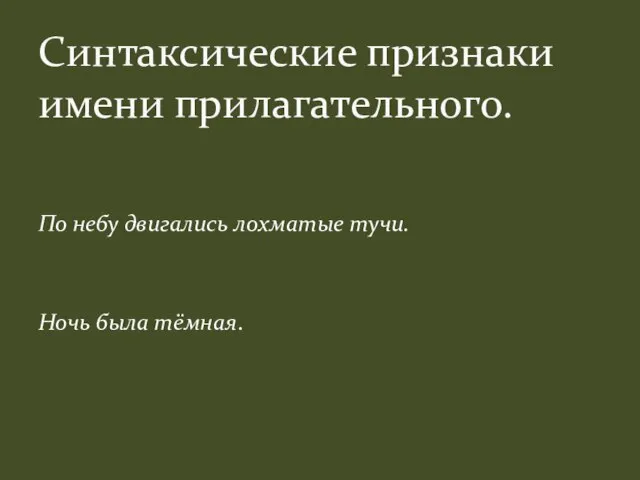 По небу двигались лохматые тучи. Ночь была тёмная. Синтаксические признаки имени прилагательного.