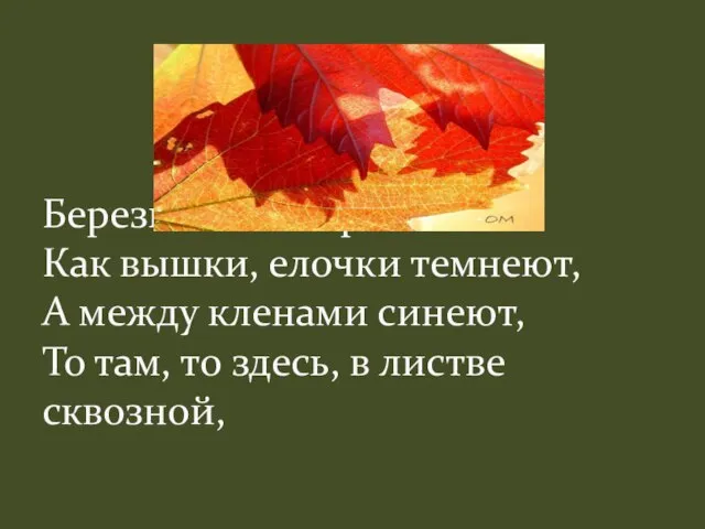 Березы желтою резьбой Как вышки, елочки темнеют, А между кленами синеют, То