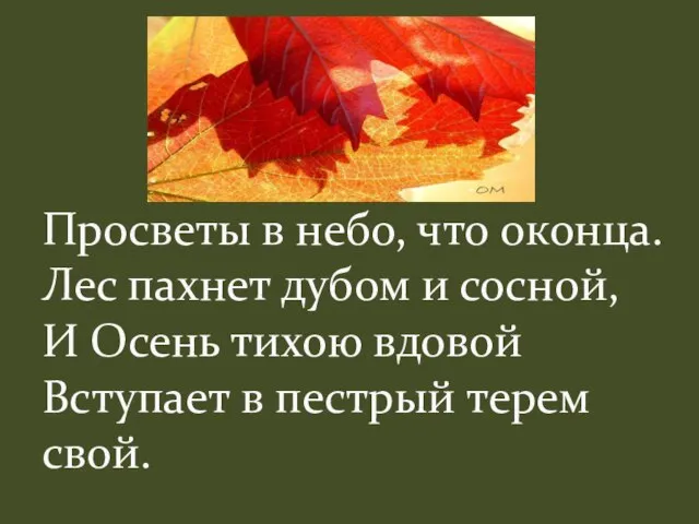 Просветы в небо, что оконца. Лес пахнет дубом и сосной, И Осень