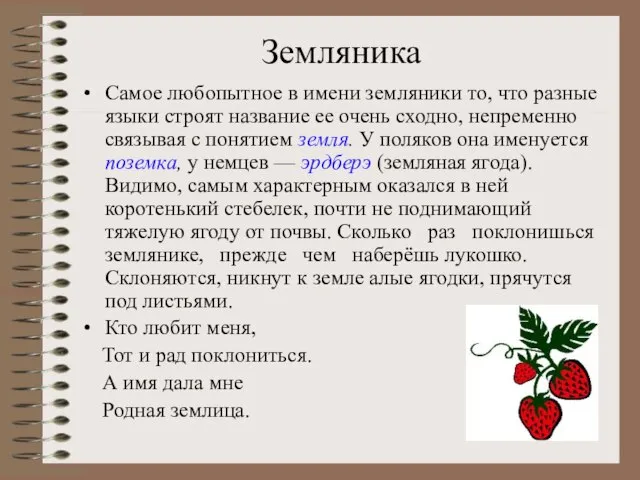 Земляника Самое любопытное в имени земляники то, что разные языки строят название