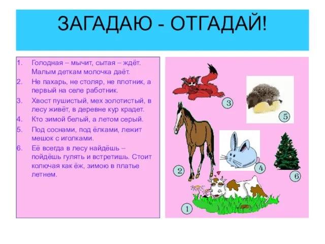 ЗАГАДАЮ - ОТГАДАЙ! Голодная – мычит, сытая – ждёт. Малым деткам молочка