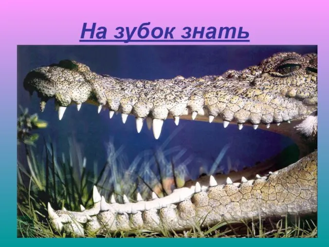 На зубок знать