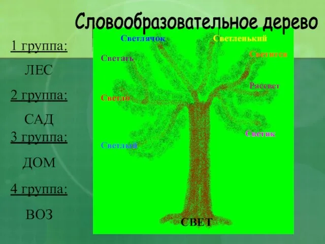 Словообразовательное дерево 1 группа: ЛЕС 2 группа: САД 3 группа: ДОМ 4 группа: ВОЗ