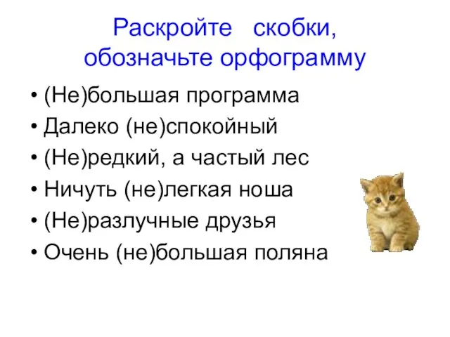 Раскройте скобки, обозначьте орфограмму (Не)большая программа Далеко (не)спокойный (Не)редкий, а частый лес