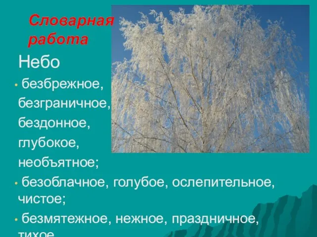 Словарная работа Небо безбрежное, безграничное, бездонное, глубокое, необъятное; безоблачное, голубое, ослепительное, чистое; безмятежное, нежное, праздничное, тихое