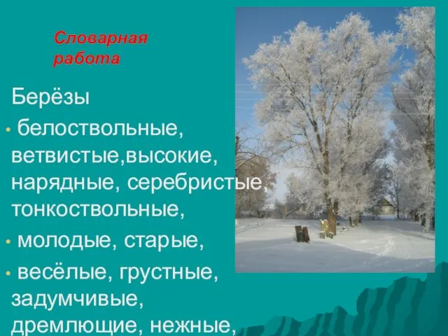 Словарная работа Берёзы белоствольные, ветвистые,высокие, нарядные, серебристые, тонкоствольные, молодые, старые, весёлые, грустные, задумчивые, дремлющие, нежные, светлые