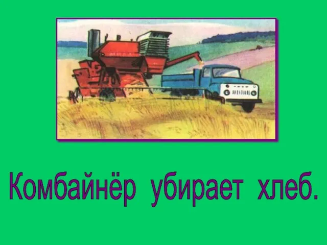 Комбайнёр убирает хлеб.